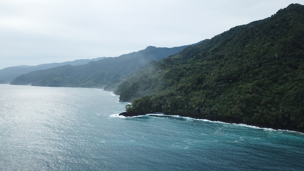 a body of water surrounded by mountains and trees