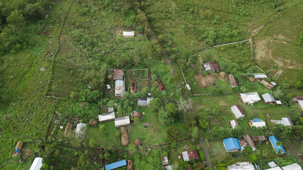 an aerial view of a small village surrounded by trees