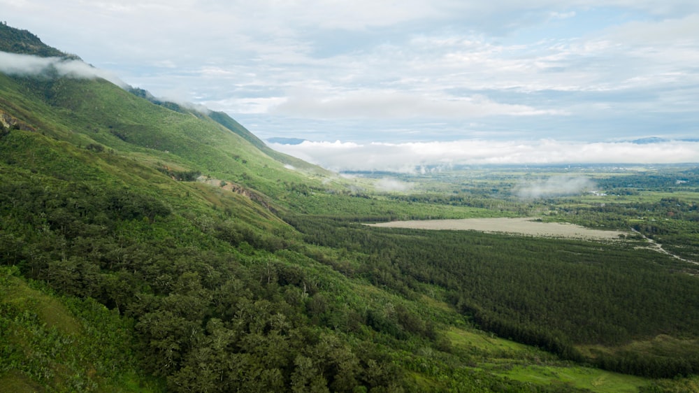 a scenic view of a lush green valley