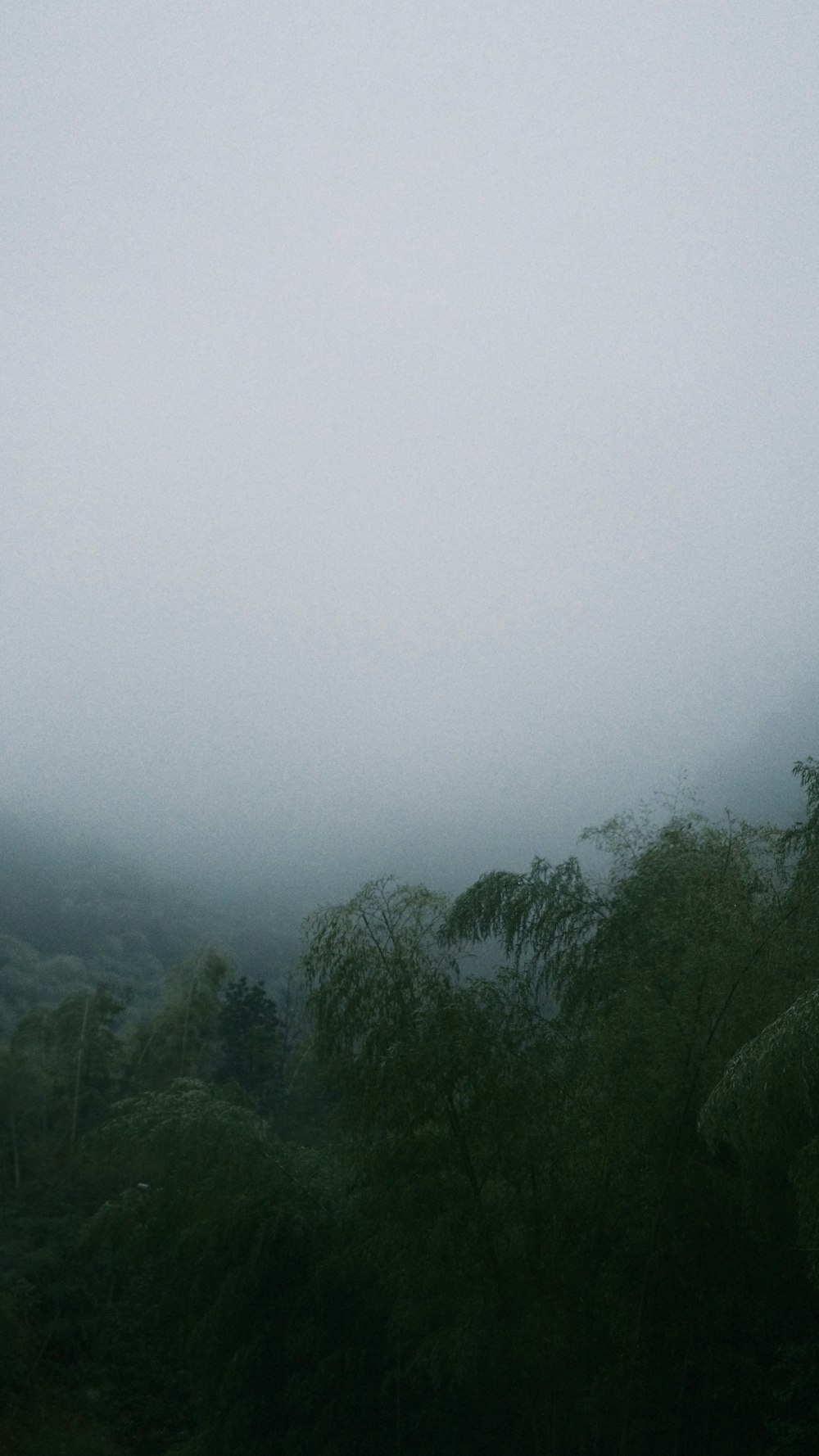 a foggy day in the mountains with a bench in the foreground