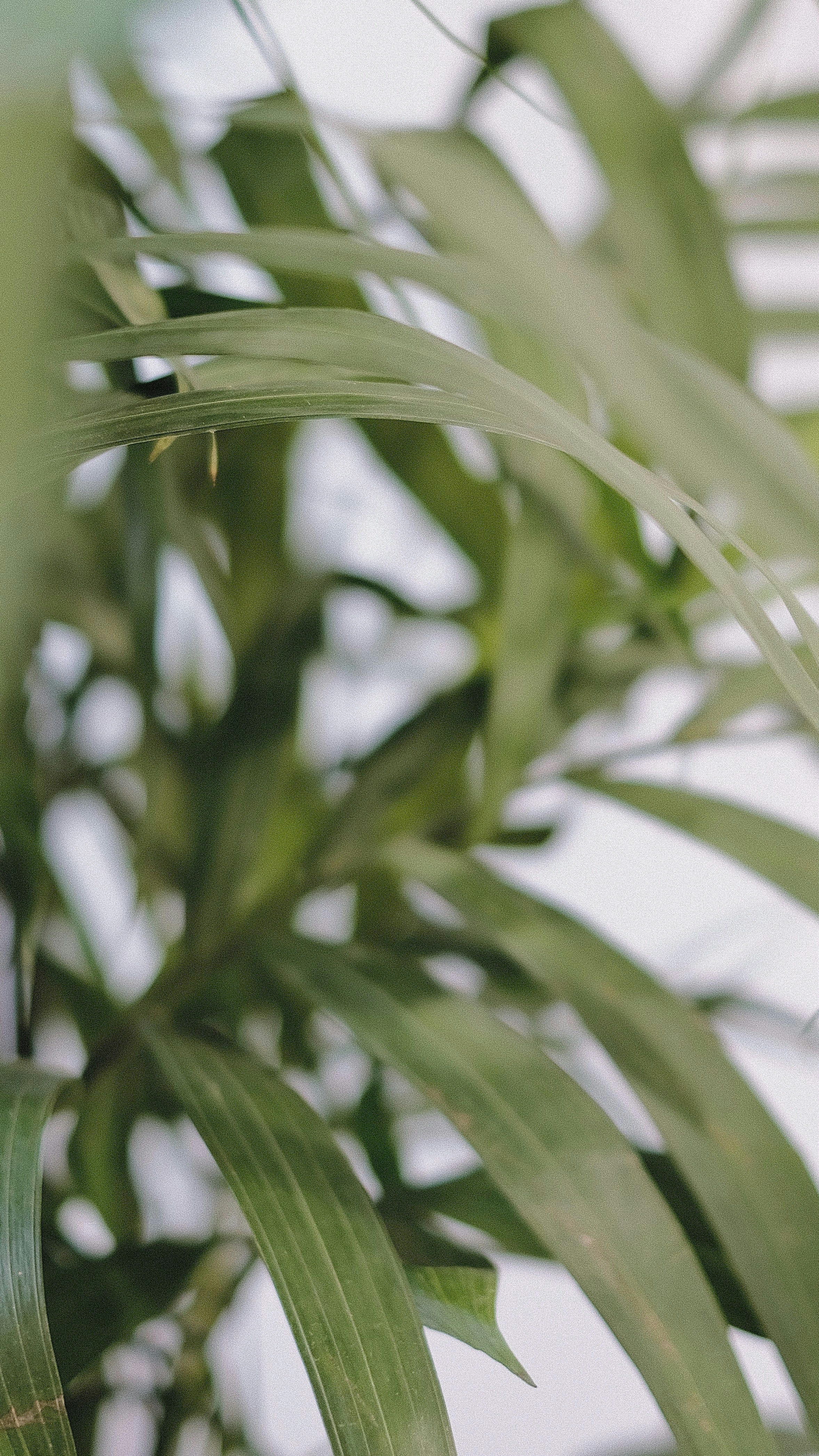 Photo by hanxiaoyaaaaa