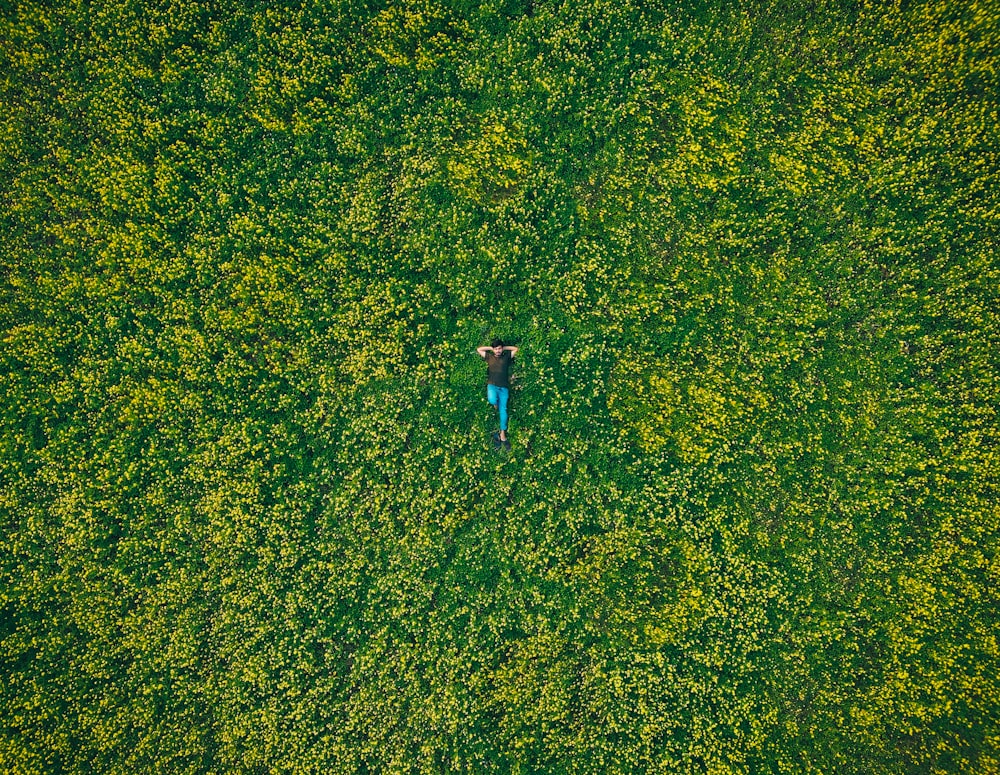 a person standing in a field of green grass