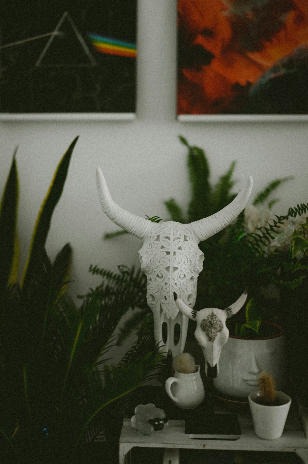 a white cow skull sitting on top of a table