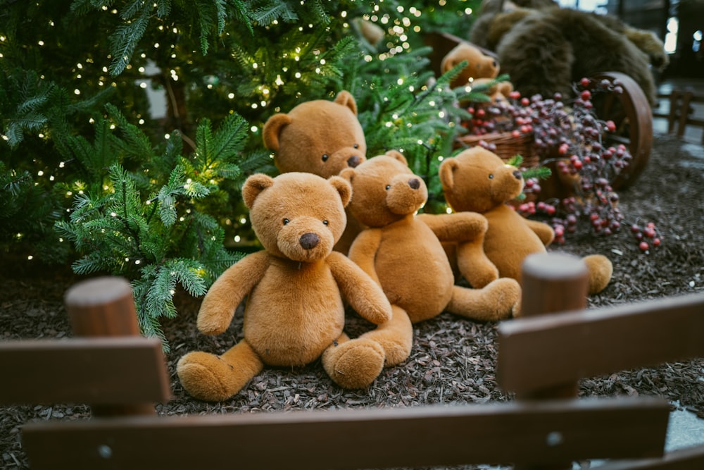 Un groupe d’ours en peluche assis devant un sapin de Noël