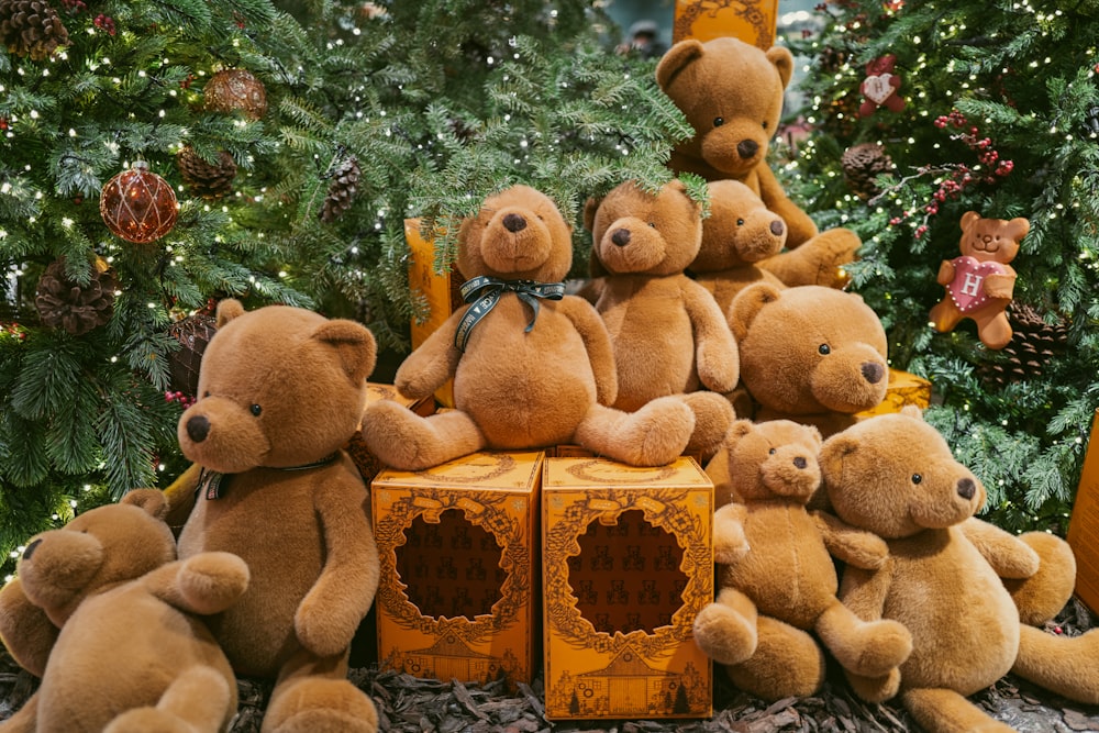 un tas d’ours en peluche bruns assis les uns à côté des autres