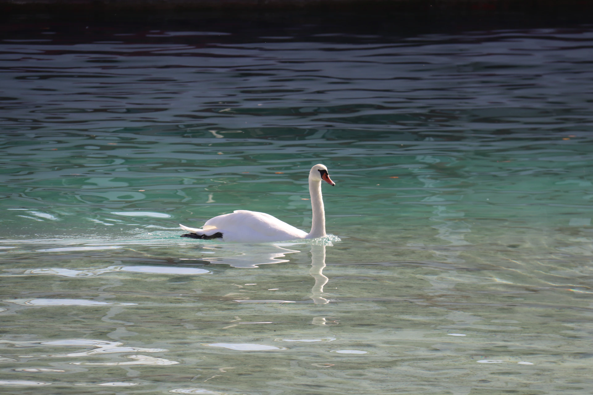 gray computer monitor