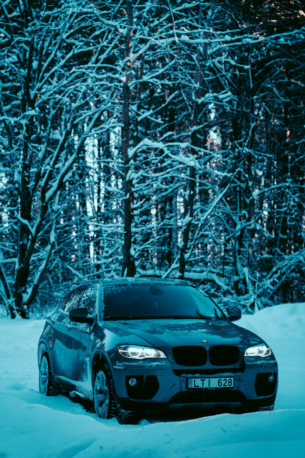 Ein Auto parkt im Schnee vor einigen Bäumen