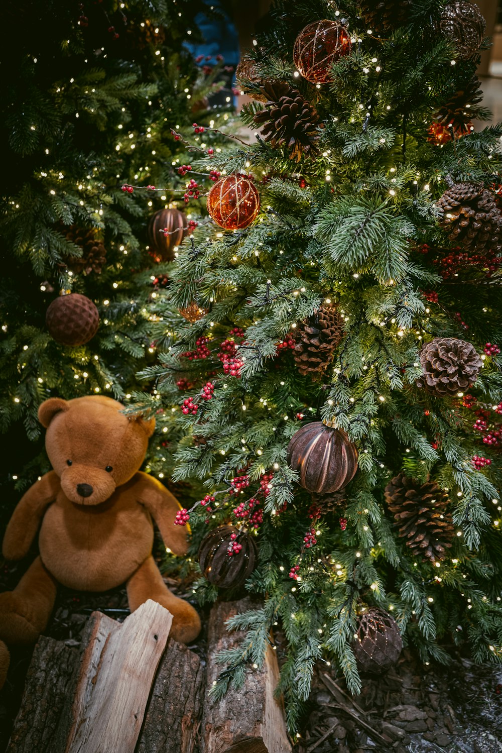 a teddy bear sitting in front of a christmas tree