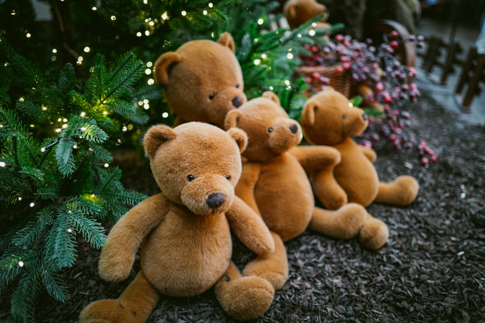 Foto Un grupo de osos de peluche sentados junto a un árbol de navidad –  Imagen Oso de peluche gratis en Unsplash