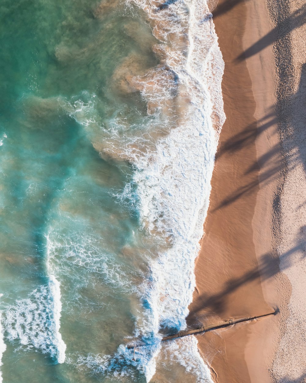 an aerial view of a beach and ocean