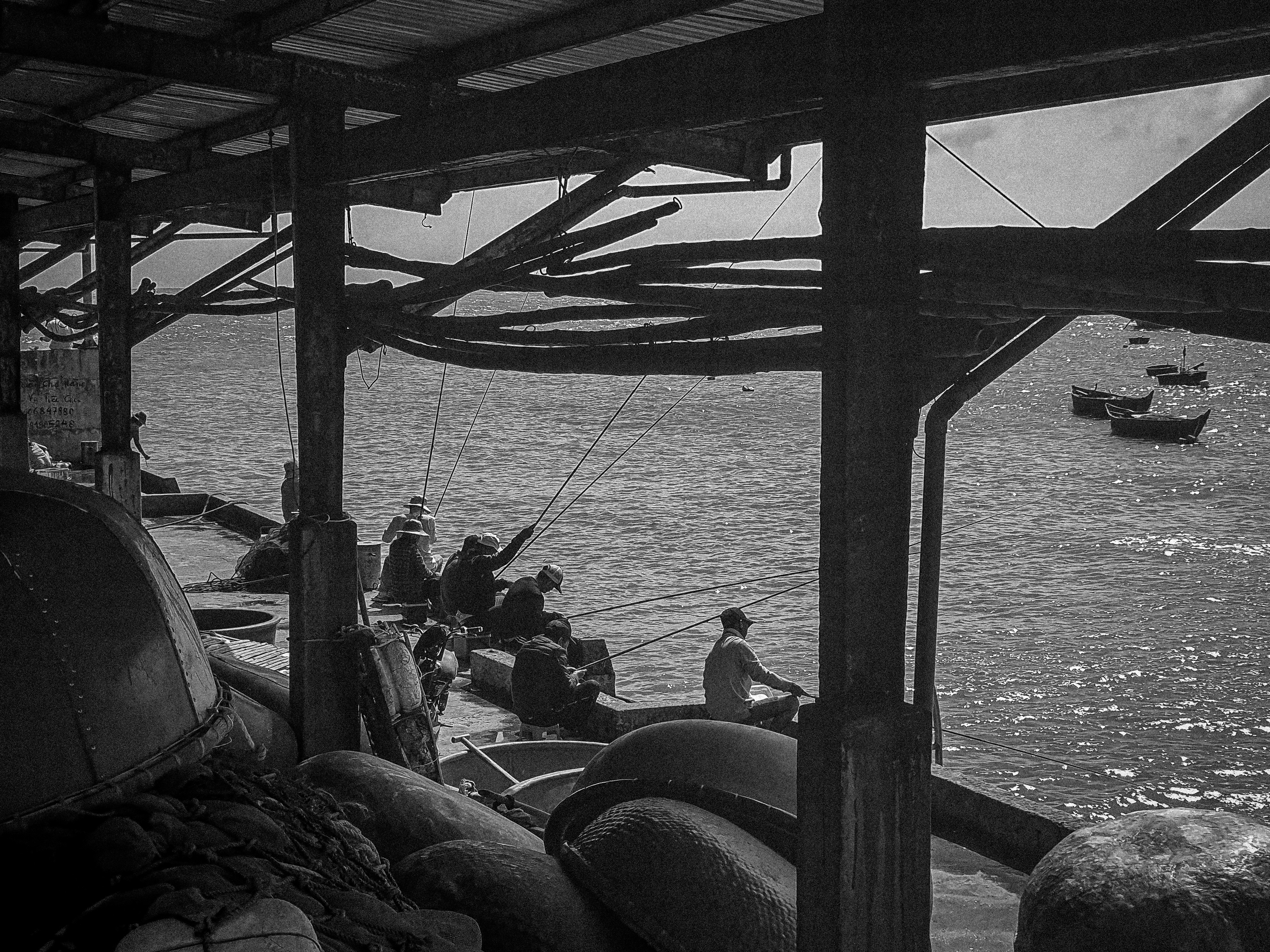 Photo by maivophucthanh