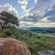 a tree on top of a hill under a cloudy sky