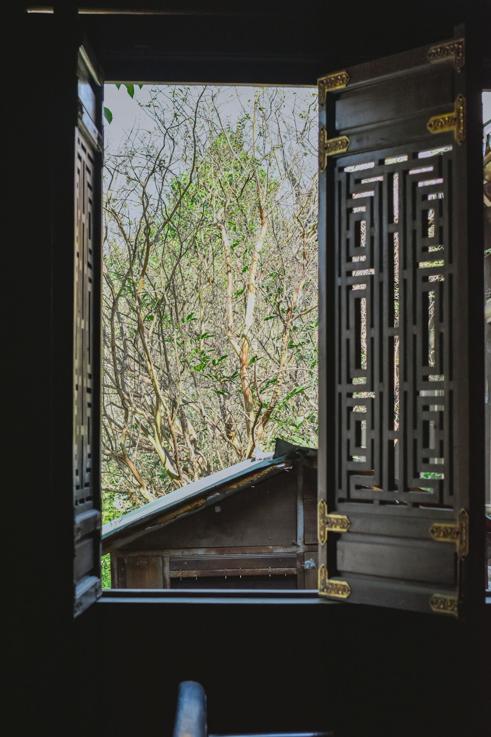 an open window with a view of trees outside