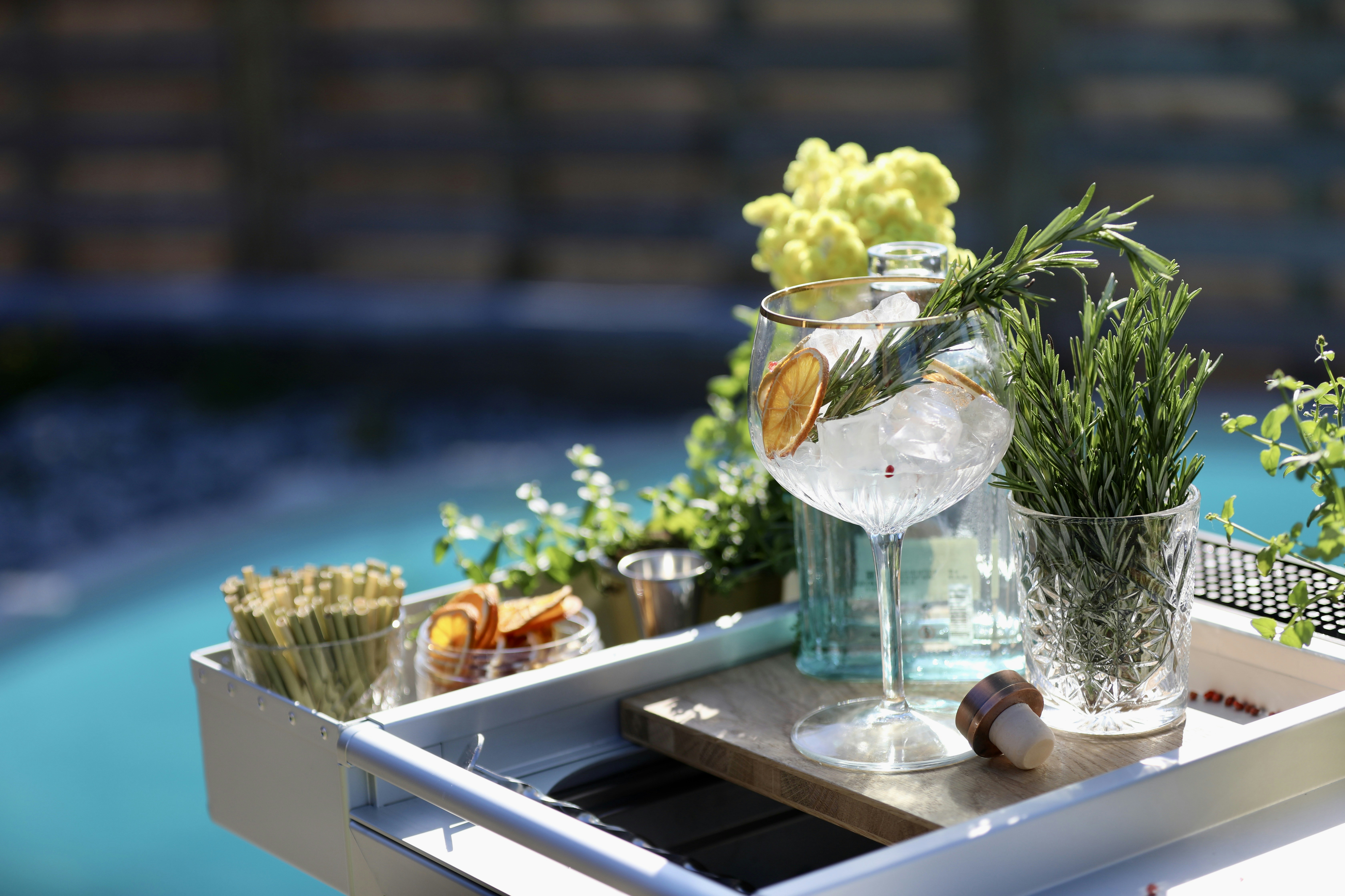 a tray with a glass of water and some plants