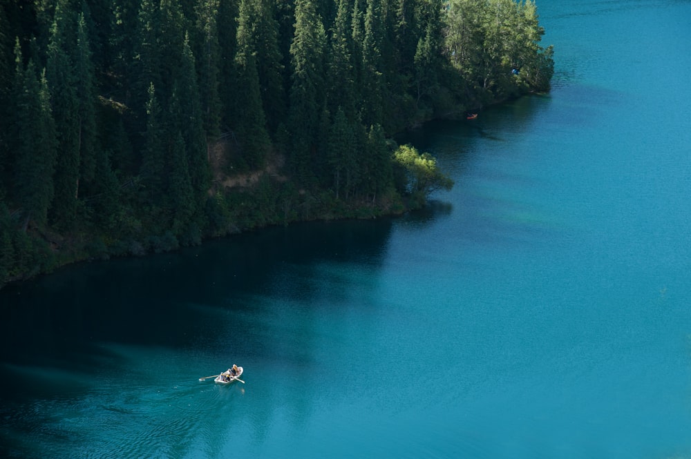 a person in a boat on a body of water