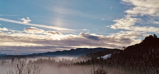a view of a mountain covered in fog