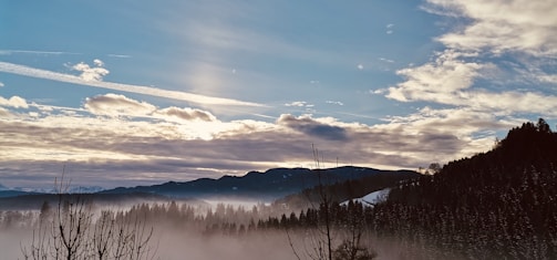 a view of a mountain covered in fog