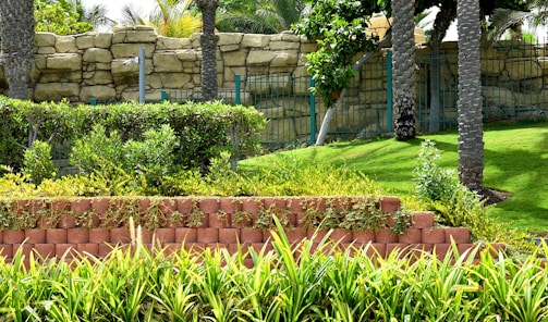 A sturdy retaining wall blending seamlessly with tropical landscaping.
