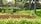 Lush greenery fills the landscape, with a variety of shrubs and plants in front of a stone wall. Tall palm trees rise in the background, and well-manicured grass covers the area. A section of the wall is constructed from red bricks, adding contrast to the natural elements.