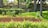 Lush greenery fills the landscape, with a variety of shrubs and plants in front of a stone wall. Tall palm trees rise in the background, and well-manicured grass covers the area. A section of the wall is constructed from red bricks, adding contrast to the natural elements.