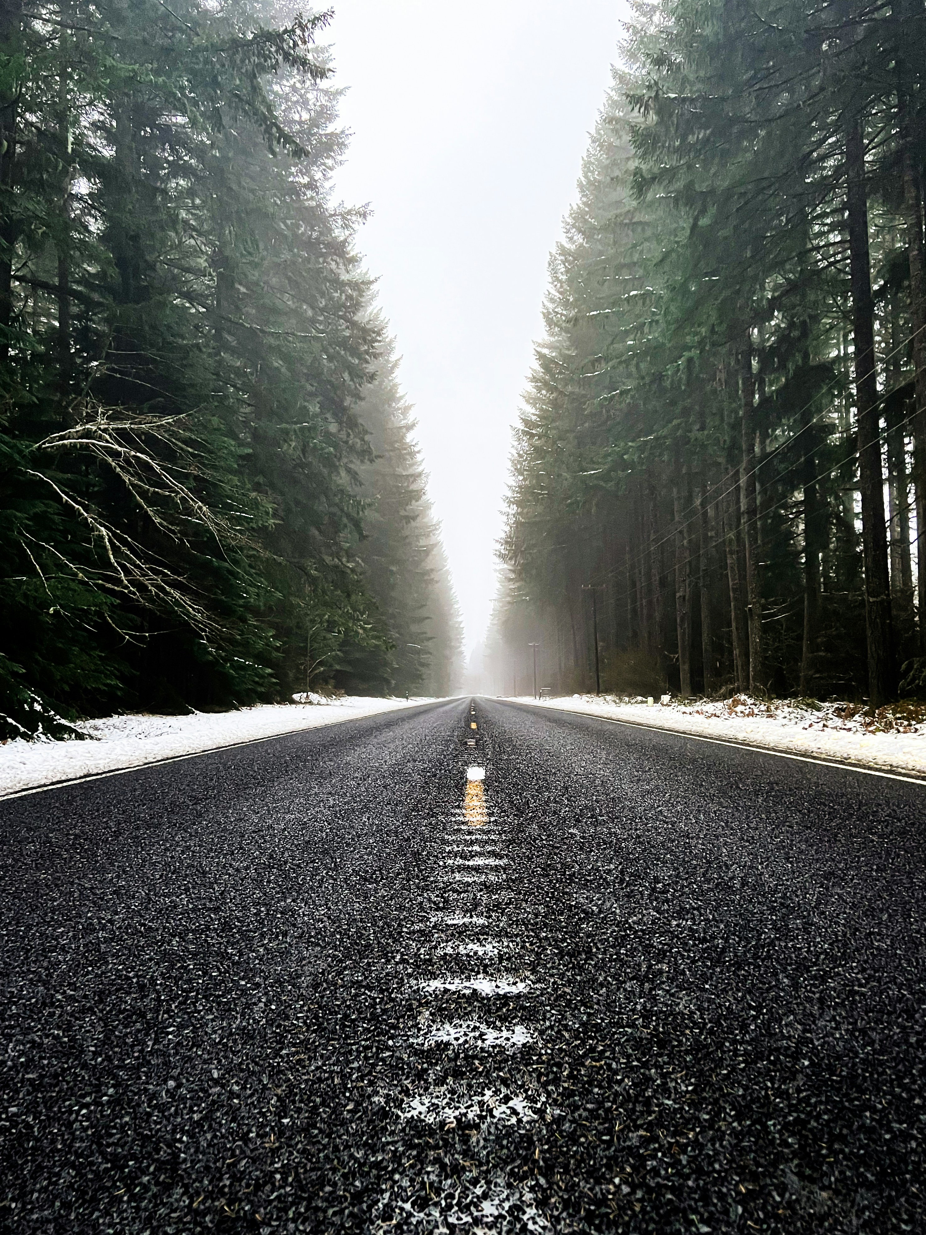 an empty road surrounded by trees and snow