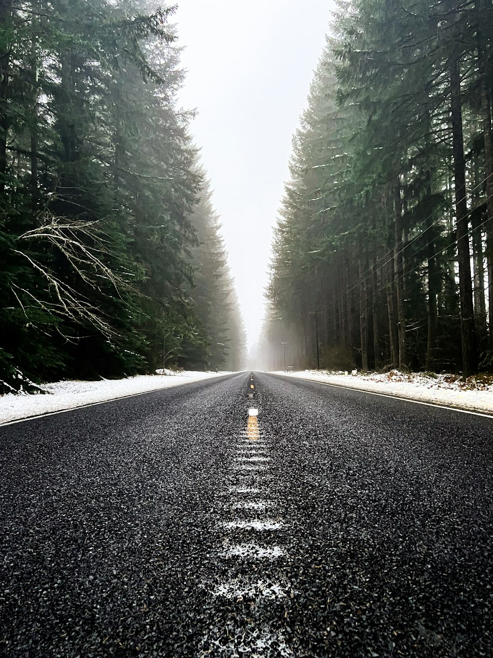 an empty road surrounded by trees and snow