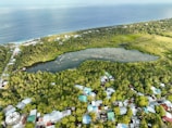 An aerial view of a coastal area featuring a large, lush green forest surrounding a serene pond. Residential houses with colorful rooftops are visible along with a shoreline bordered by the ocean.