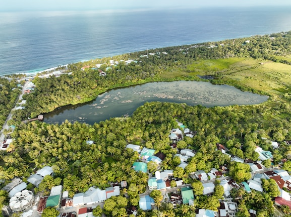 An aerial view of a coastal area featuring a large, lush green forest surrounding a serene pond. Residential houses with colorful rooftops are visible along with a shoreline bordered by the ocean.