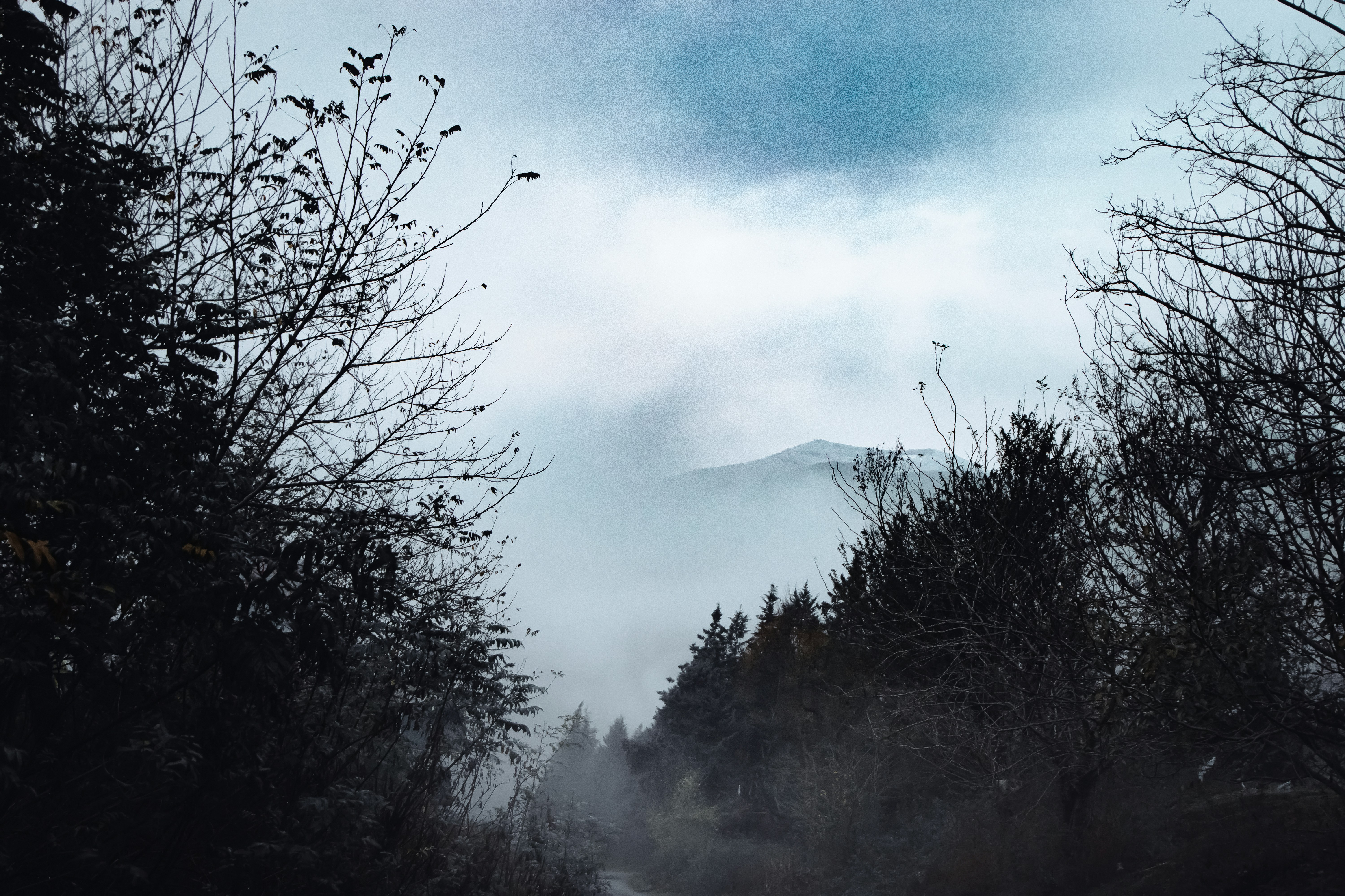 Photo by mahdibafande