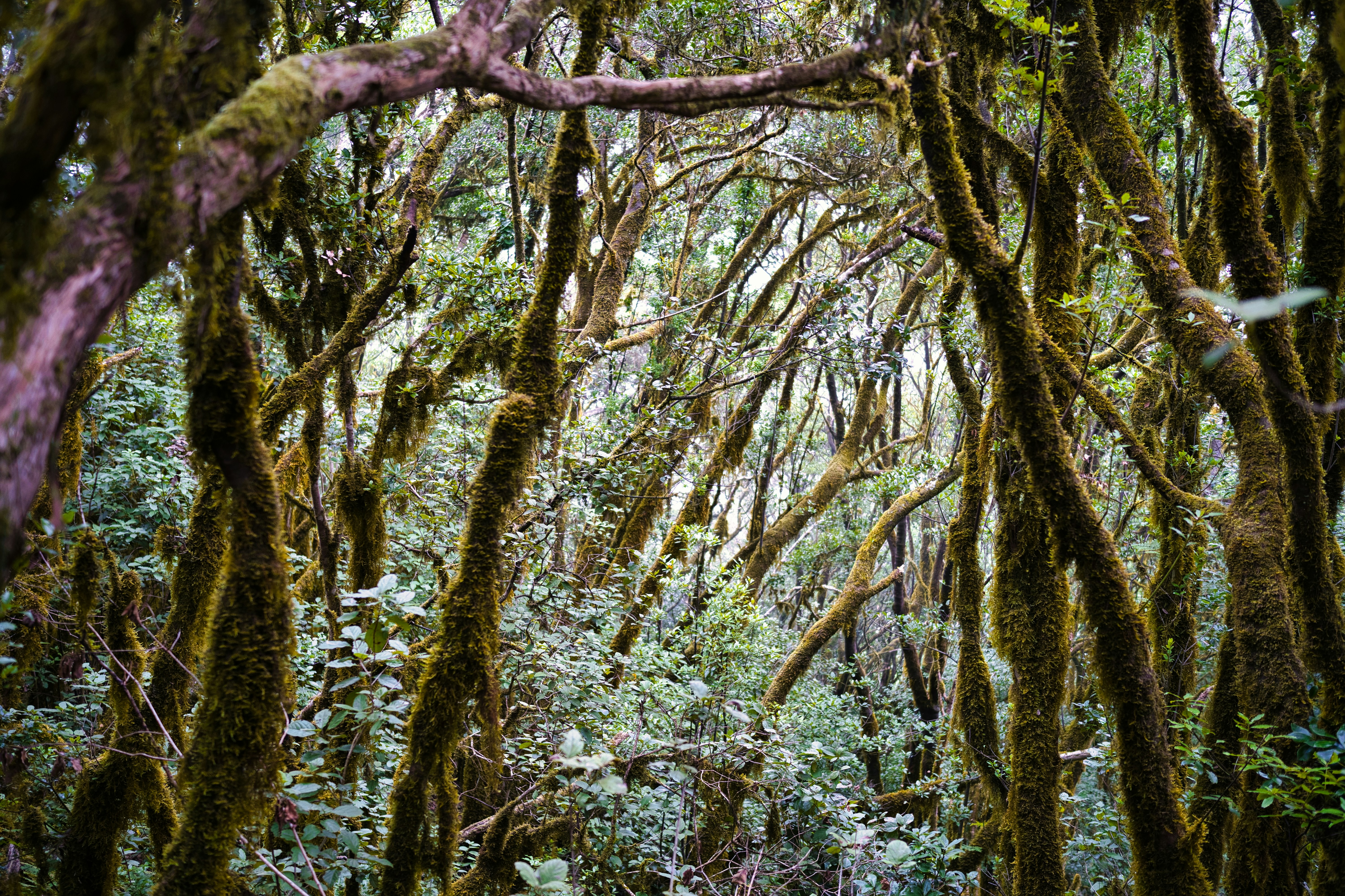 Photo by maksimshutov