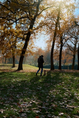 A happy dog being walked in a sunny park with a smiling owner.