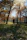 A candid photo of a dog and owner sharing a happy moment in a park filled with autumn leaves.