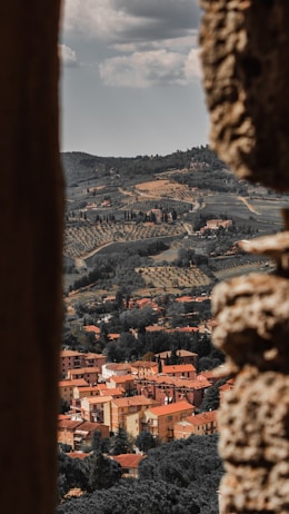 A scenic view of a quaint village with terracotta rooftops nestled among lush green rolling hills and vineyards. The landscape is dotted with trees and bordered by distant mountains under a cloudy sky.