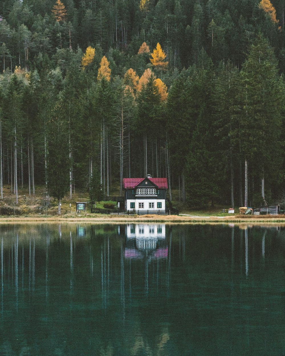 a white house sitting on top of a lake next to a forest