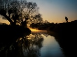 A serene landscape with a sacred tree beside a flowing river at dawn