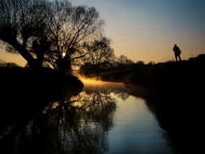 A serene landscape with a sacred tree beside a flowing river at dawn