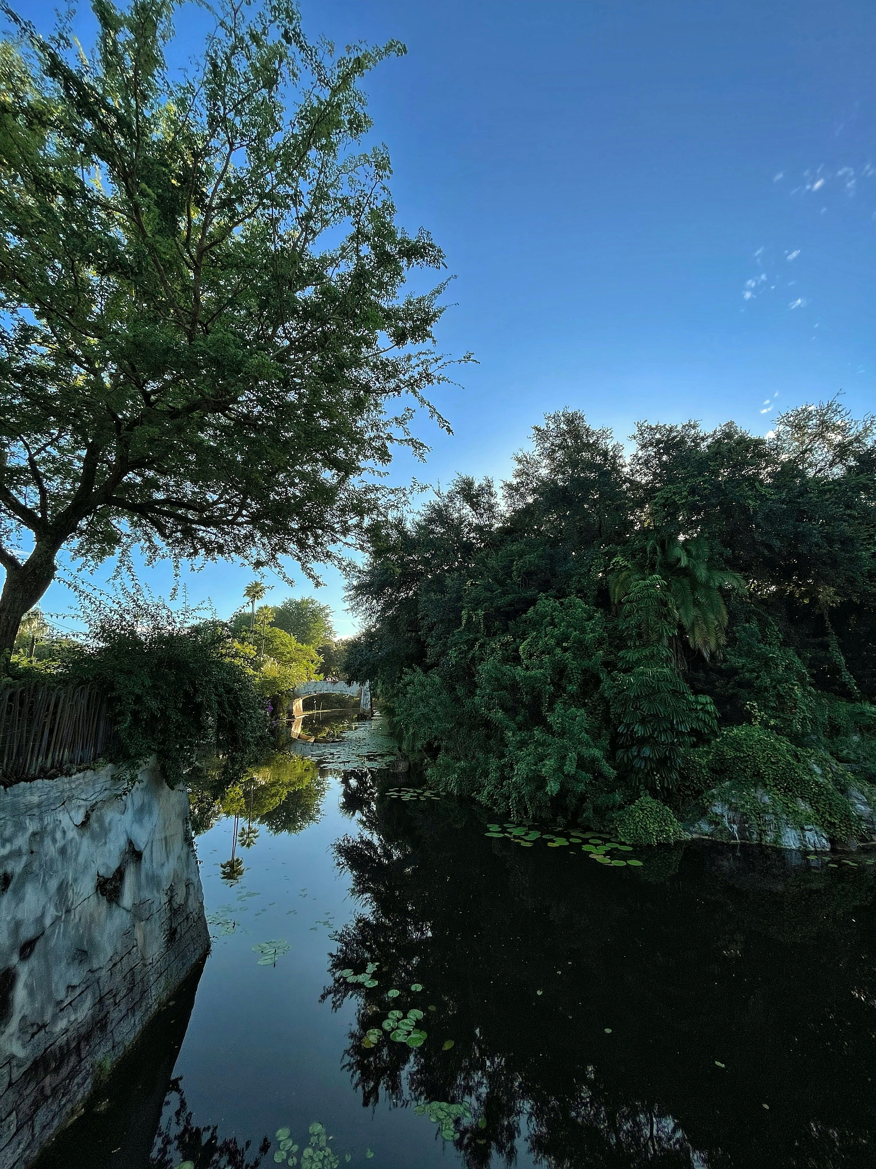 Photo by tiagoebisui