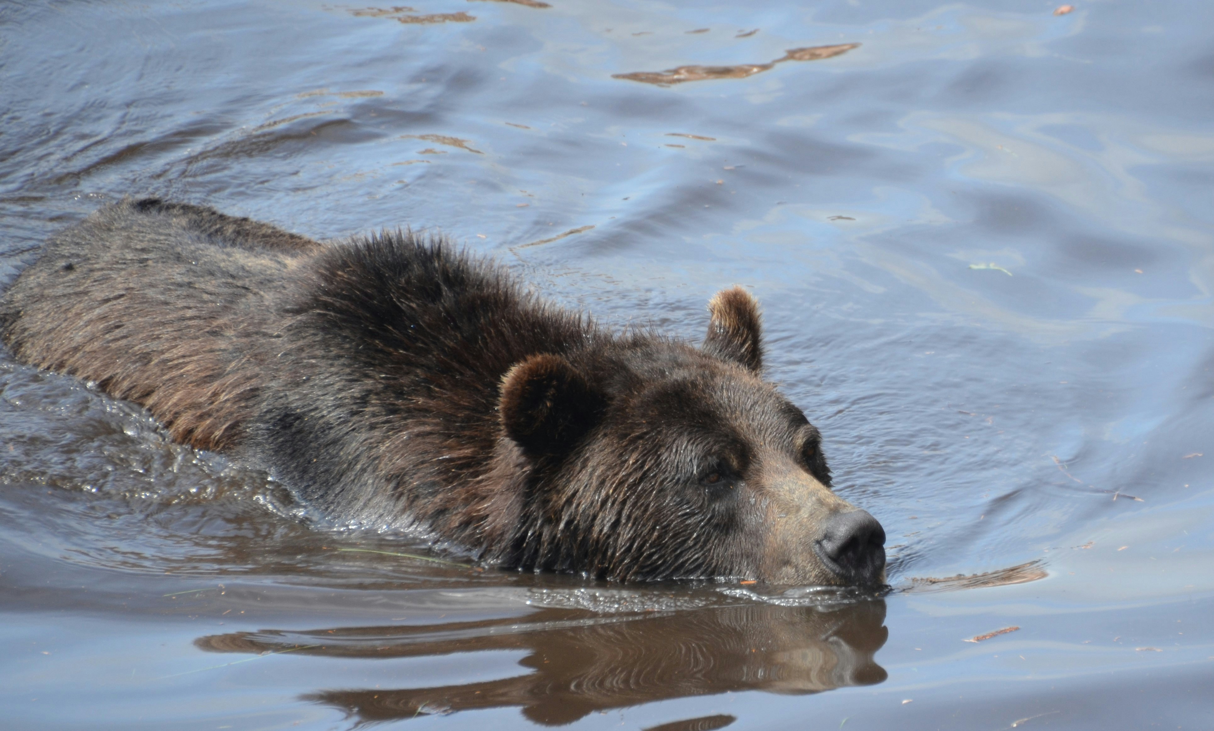 Photo by cooksphotography