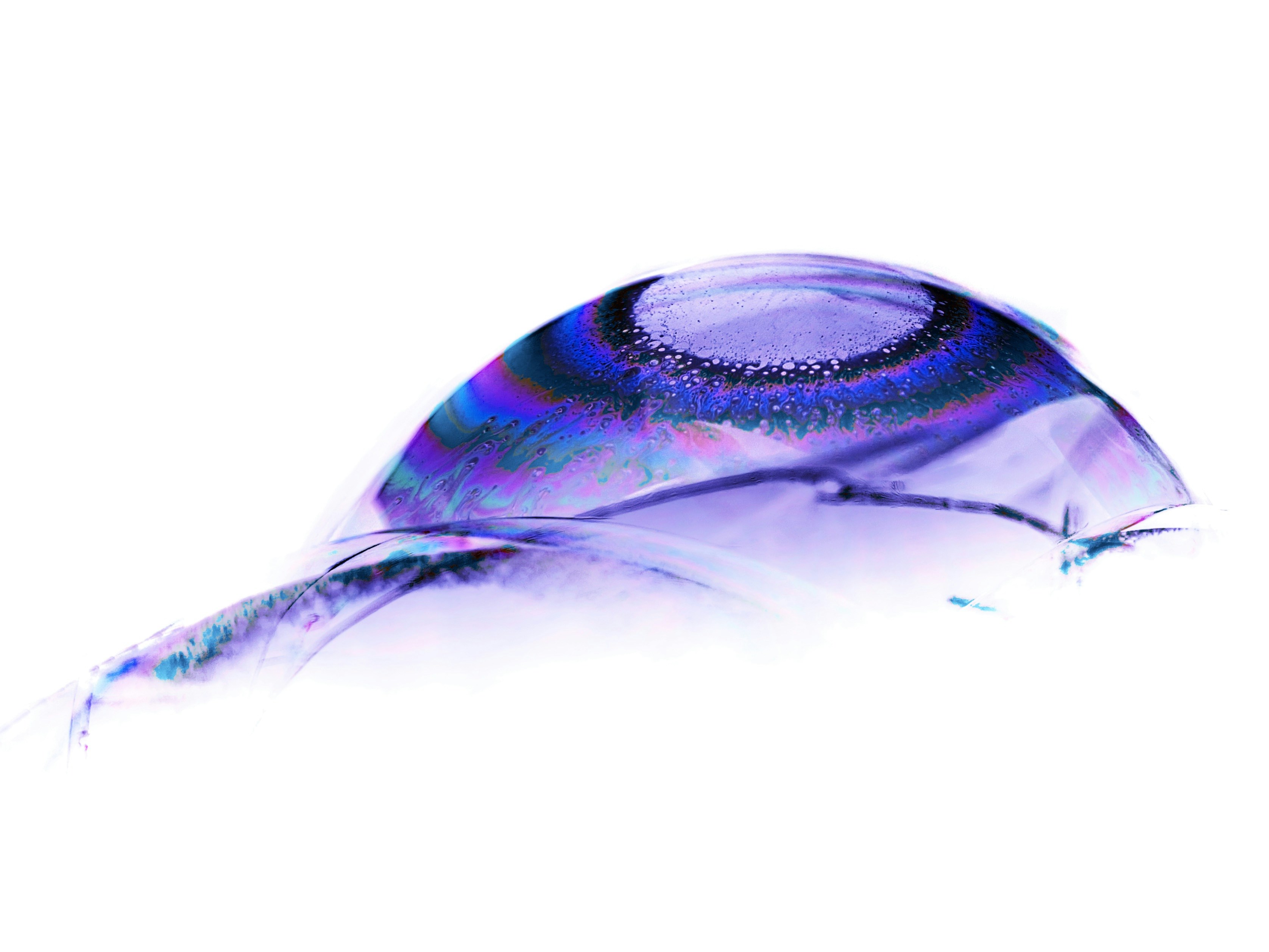 a close up of an umbrella on a white background