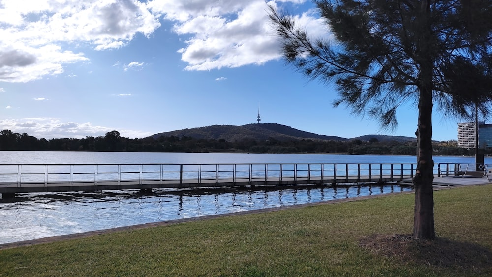 a large body of water sitting next to a forest