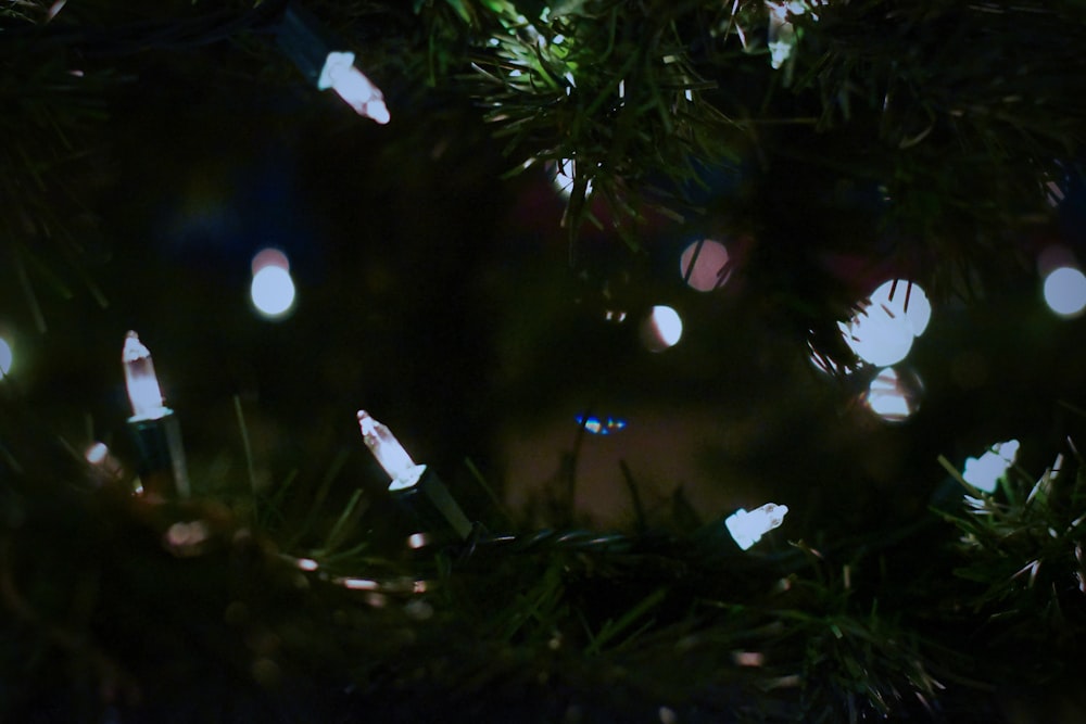 a close up of a christmas tree with lights