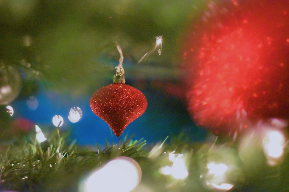 a red ornament hanging from a christmas tree