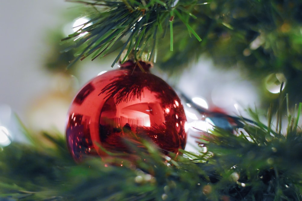 a red ornament hanging from a christmas tree