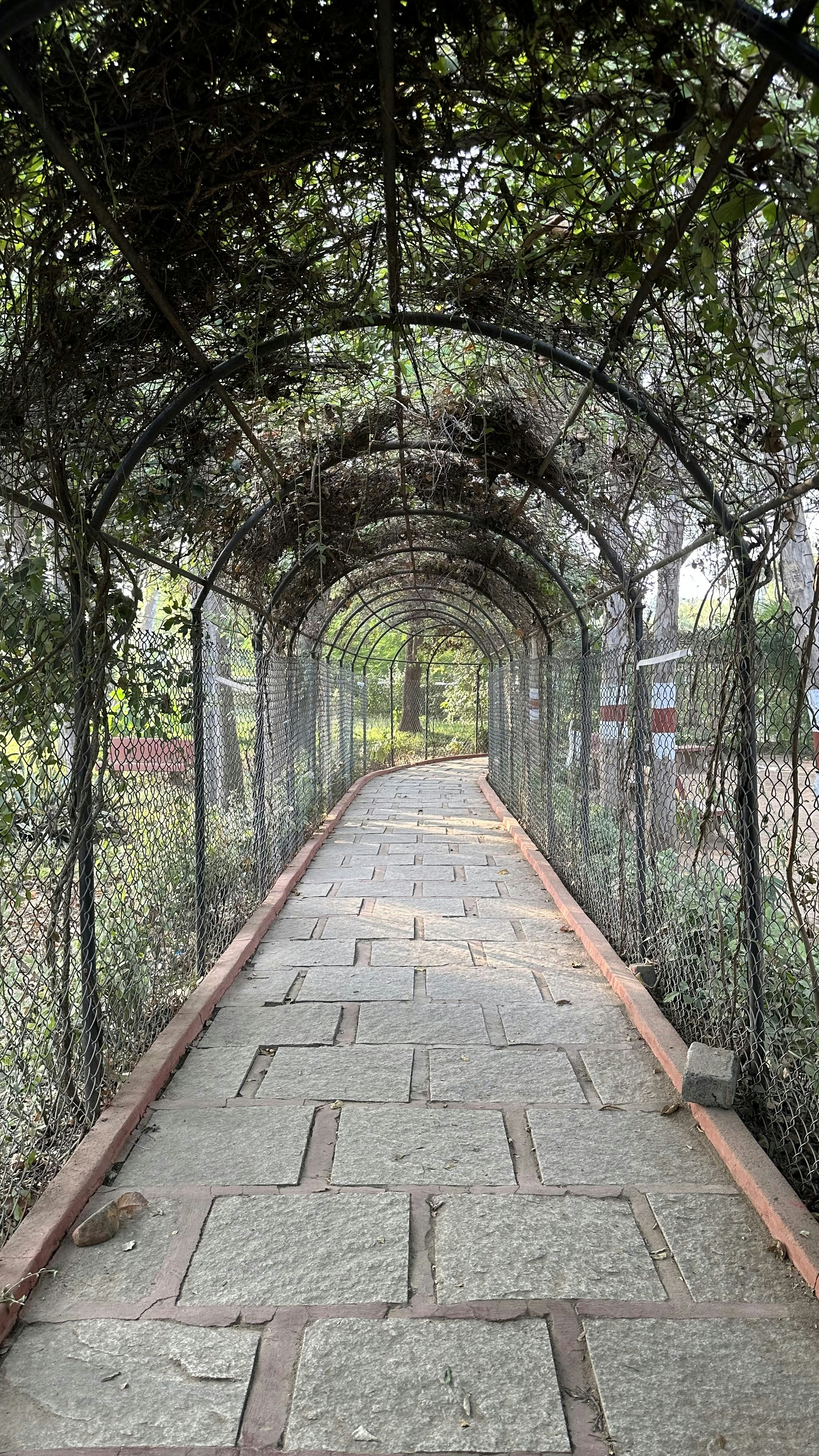 Photo by sriharshasharman