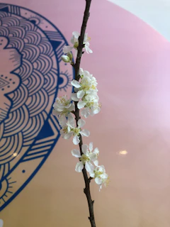 A delicate hand mandala glowing softly against a cream background, surrounded by gentle sage green leaves.