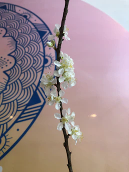 A delicate hand mandala glowing softly against a cream background, surrounded by gentle sage green leaves.