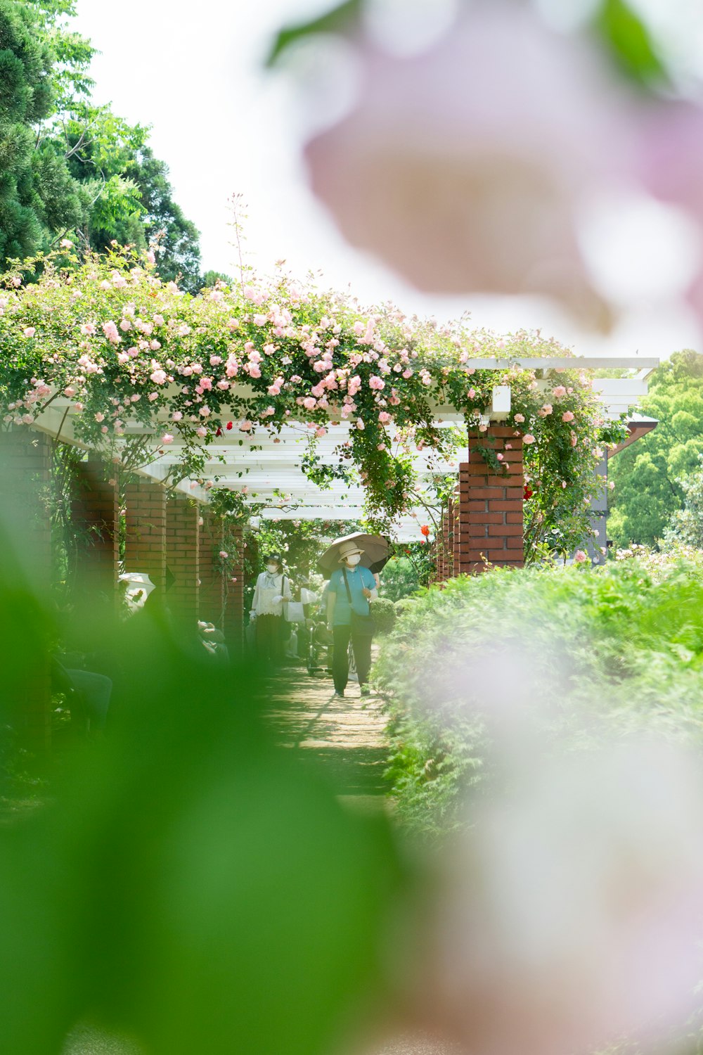 Eine Person, die einen Weg in einem Garten entlang geht