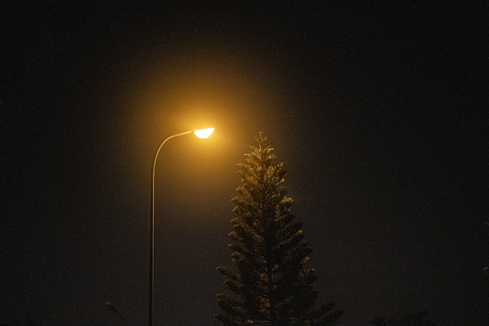 a street light on a dark street at night