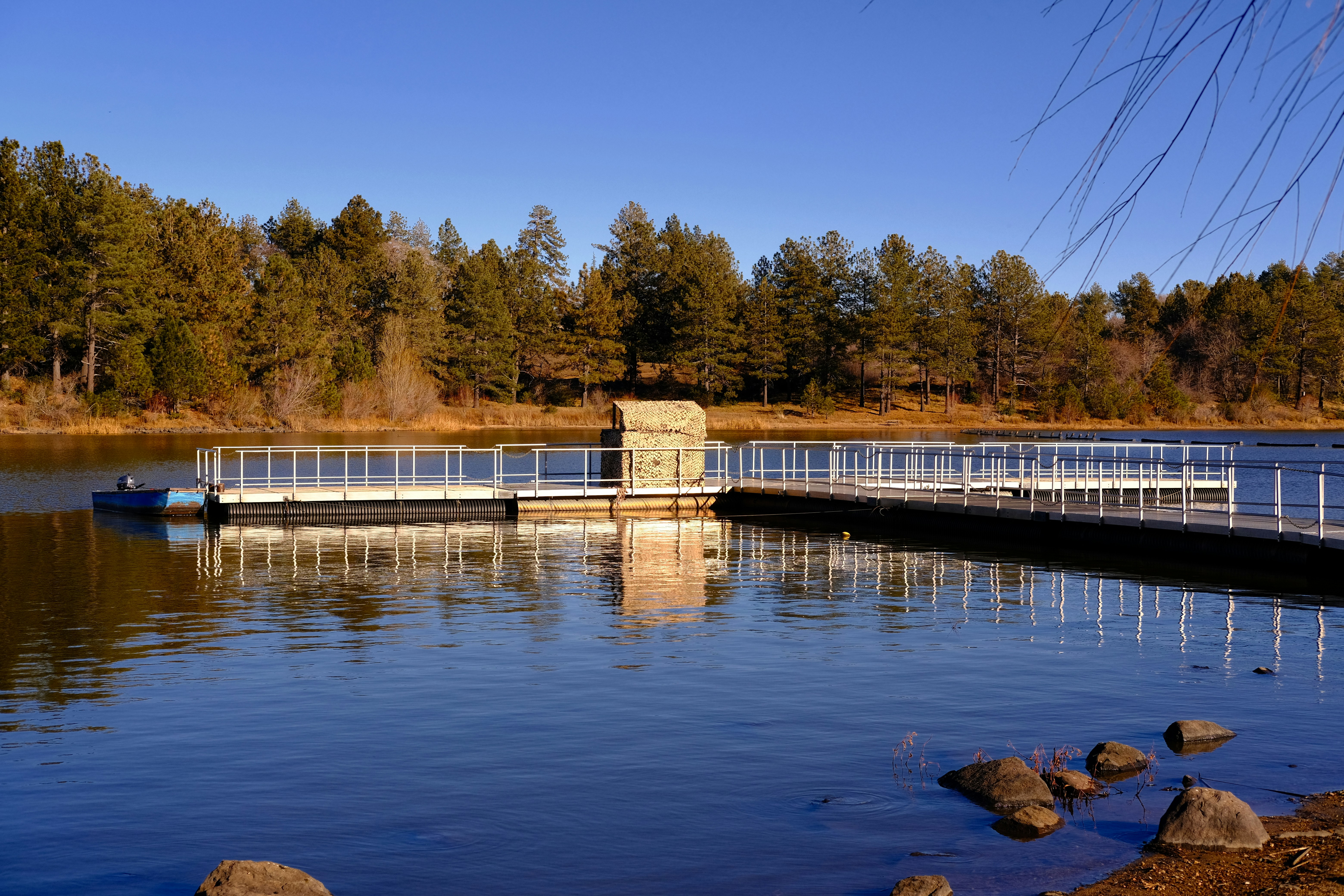 Un molo per barche su un lago circondato da alberi