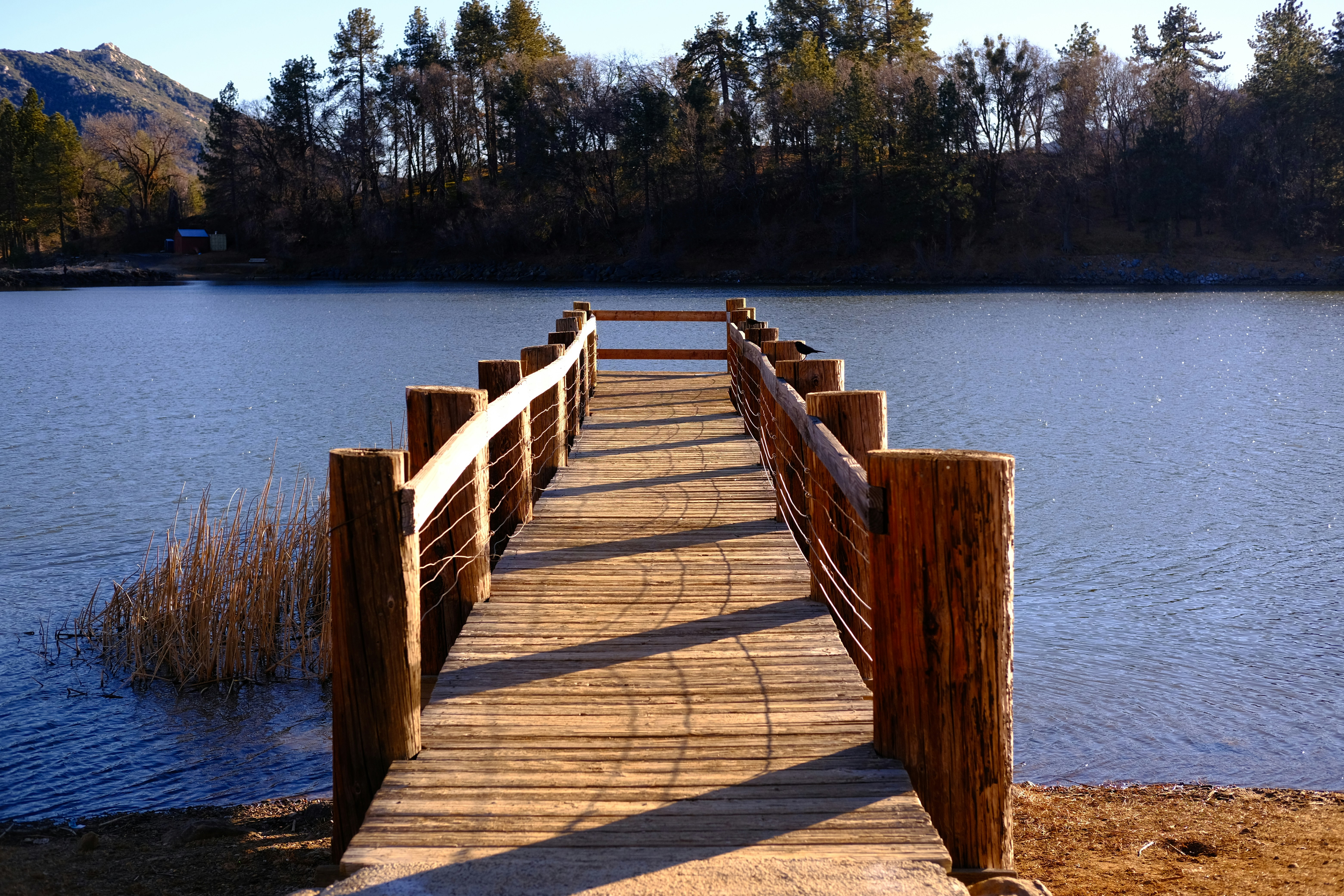 un ponte di legno su uno specchio d'acqua